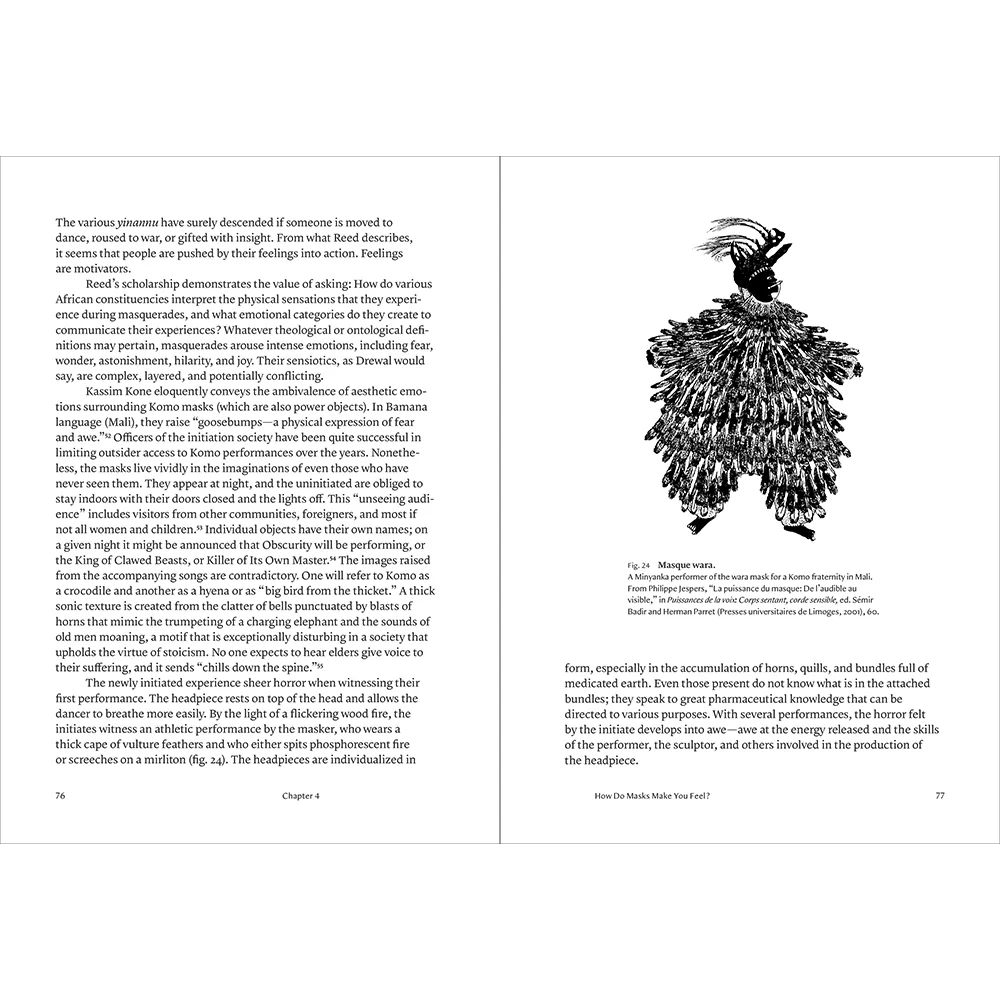 African Masks and Emotions: In Theory and in Practice - Image 7