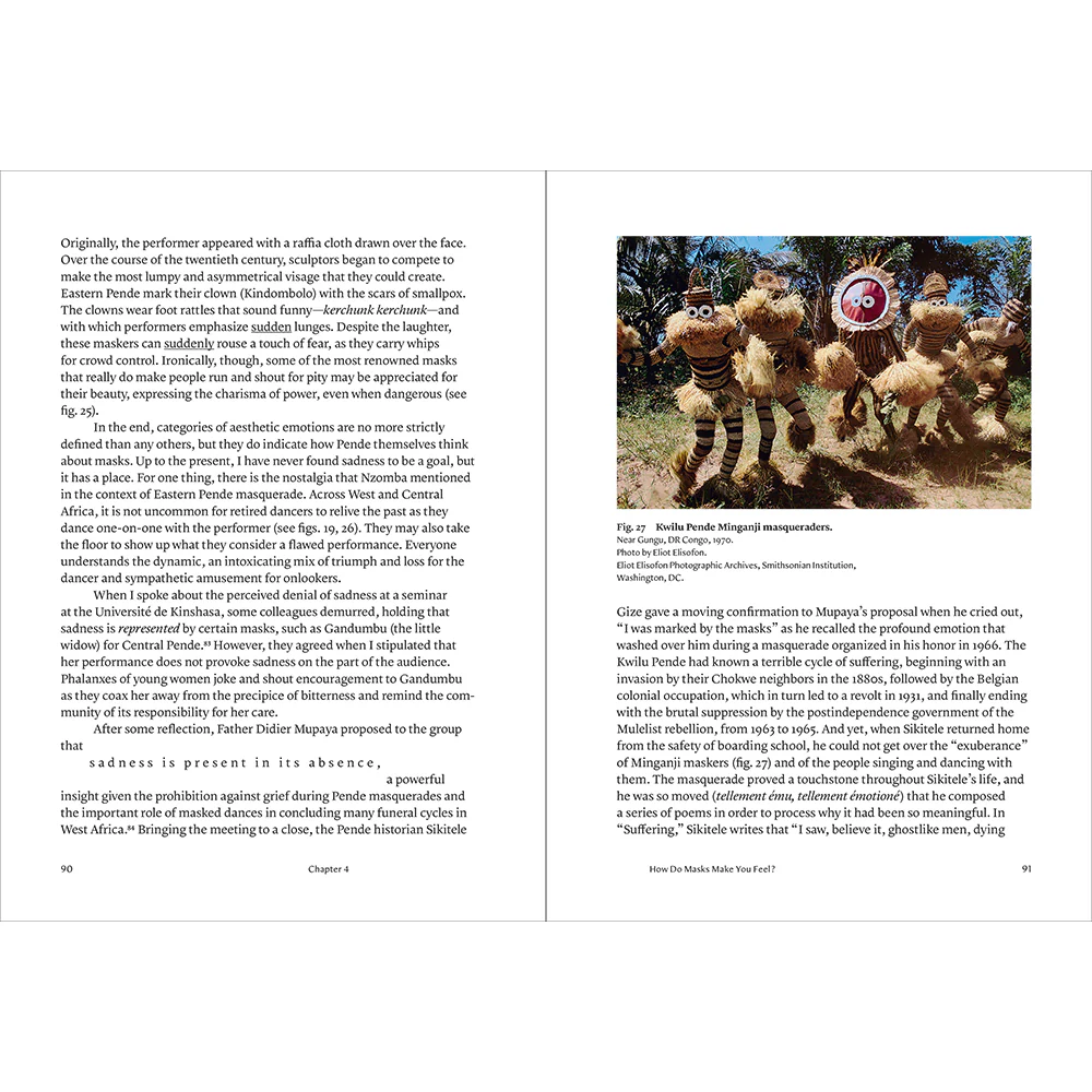 African Masks and Emotions: In Theory and in Practice - Image 8