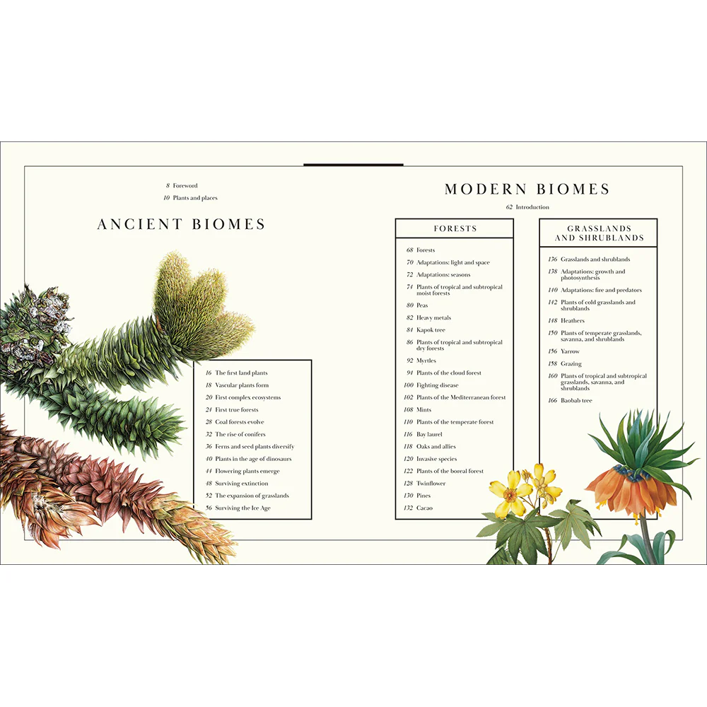 Atlas of Botany: An Exploration of Plants Across Time and Around the World - Image 2