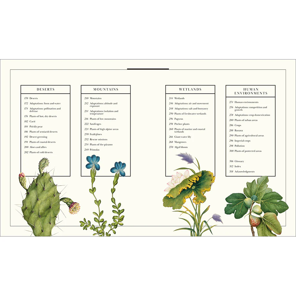 Atlas of Botany: An Exploration of Plants Across Time and Around the World - Image 3