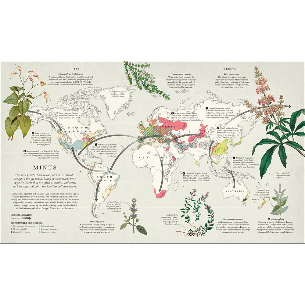 Atlas of Botany: An Exploration of Plants Across Time and Around the World - Image 5