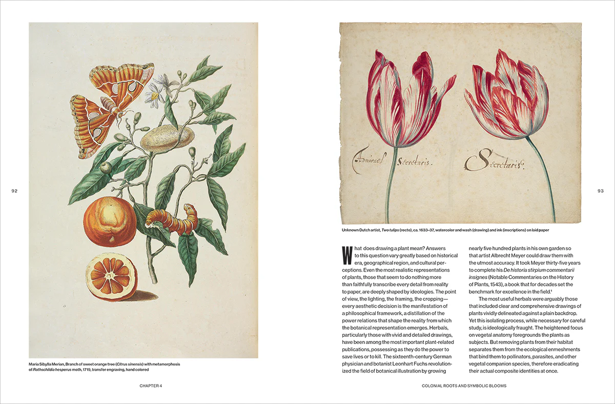 Botanical Revolutions: How Plants Changed the Course of Art - Image 6