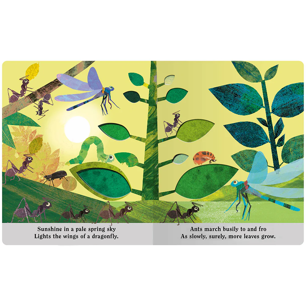 Bugs: A Peek-Through Board Book - Image 2