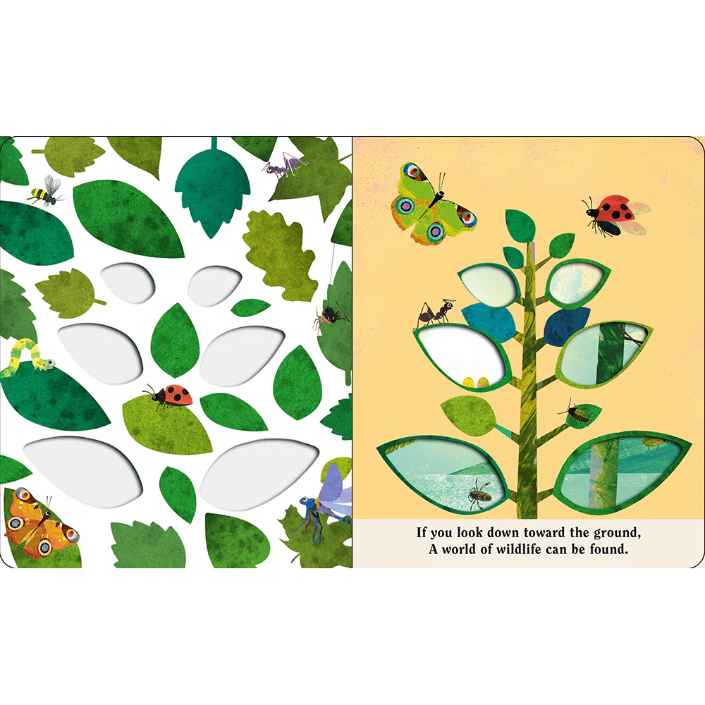 Bugs: A Peek-Through Board Book - Image 3