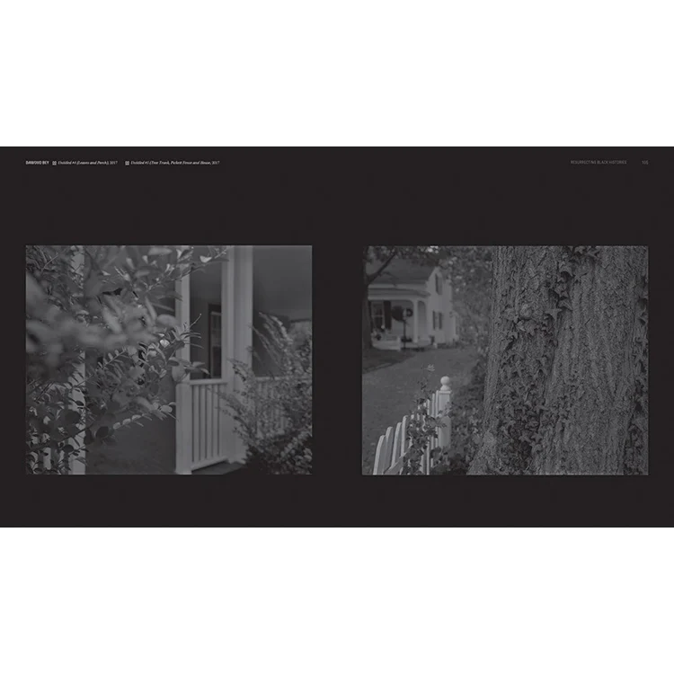 Dawoud Bey & Carrie Mae Weems: In Dialogue - Image 4