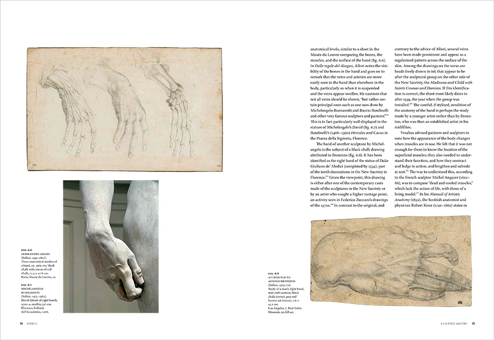 Flesh and Bones: The Art of Anatomy - Image 4
