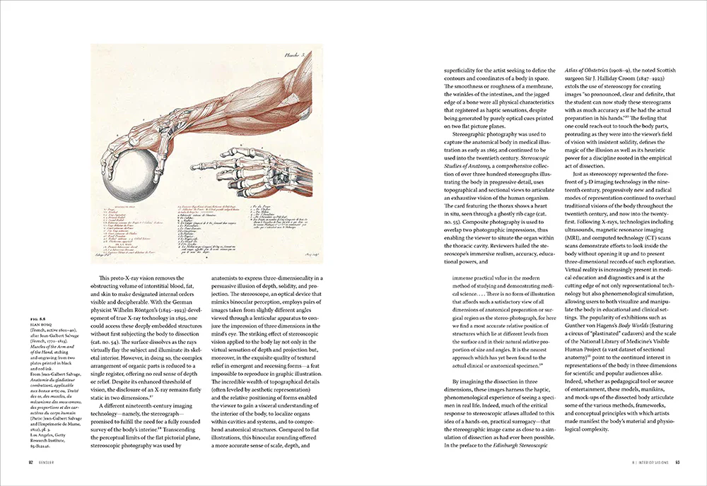 Flesh and Bones: The Art of Anatomy - Image 5
