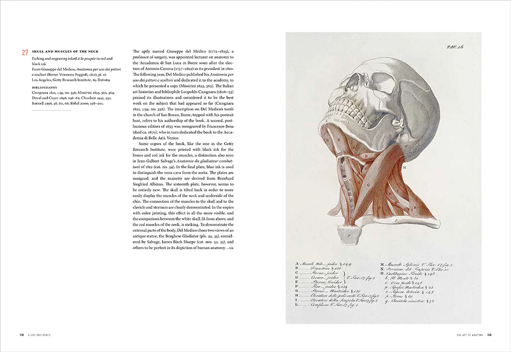 Flesh and Bones: The Art of Anatomy - Image 7