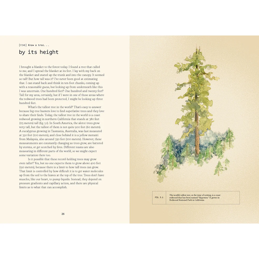 Forty Ways to Know a Tree: Exploring Trees to Understand Nature - Image 4
