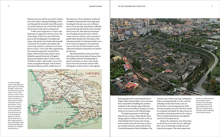 Herculaneum and the House of the Bicentenary: History and Heritage - Image 2