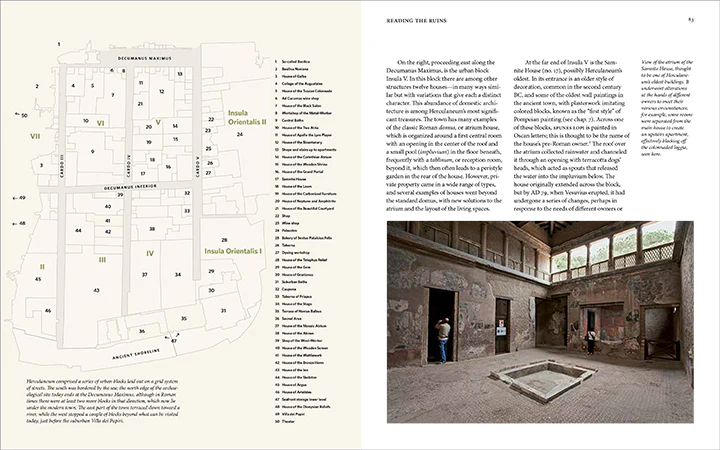 Herculaneum and the House of the Bicentenary: History and Heritage - Image 5