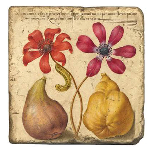 Joris Hoefnagel Magnet - Image 6