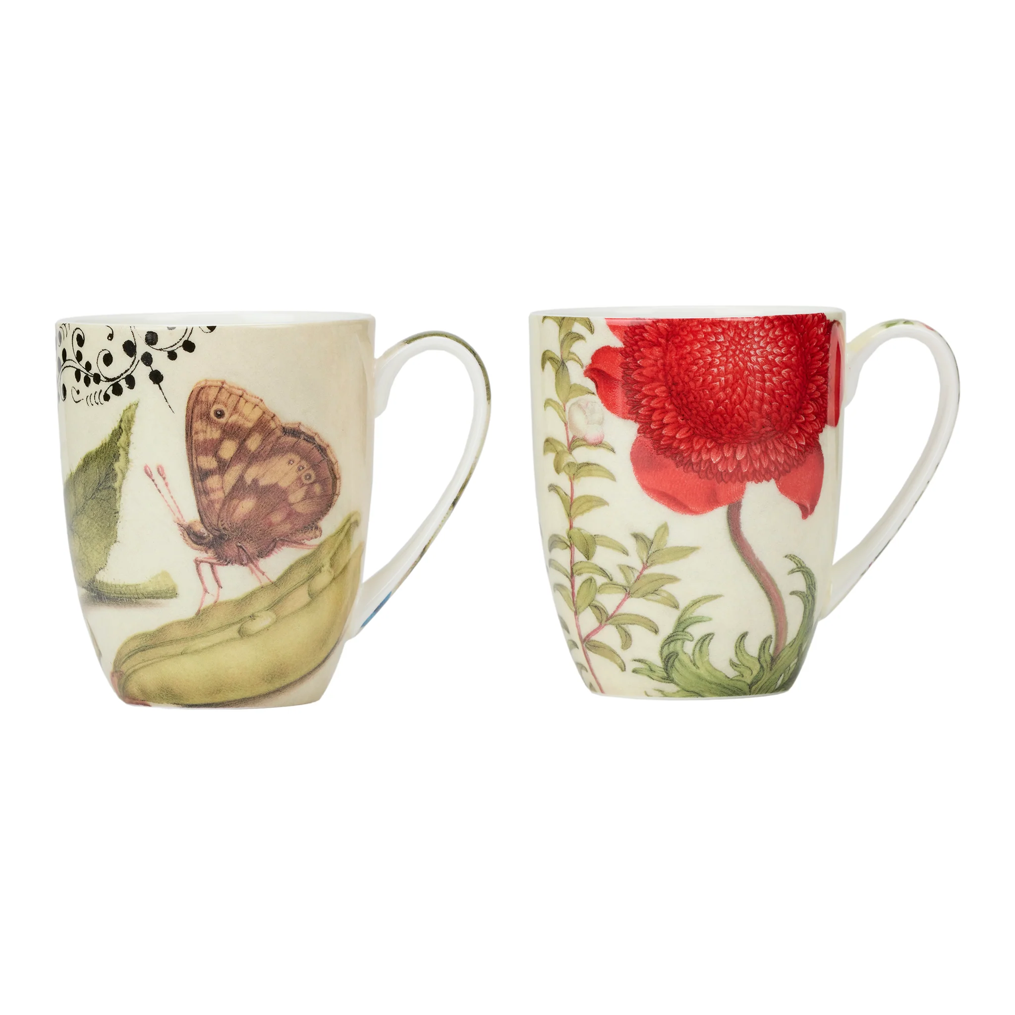 Hoefnagel Mug Pair - Image 3