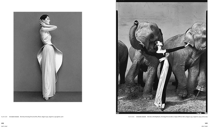 Icons of Style: A Century of Fashion Photography - Image 4