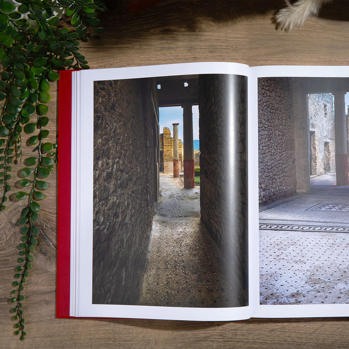 Inside Pompeii - Image 5