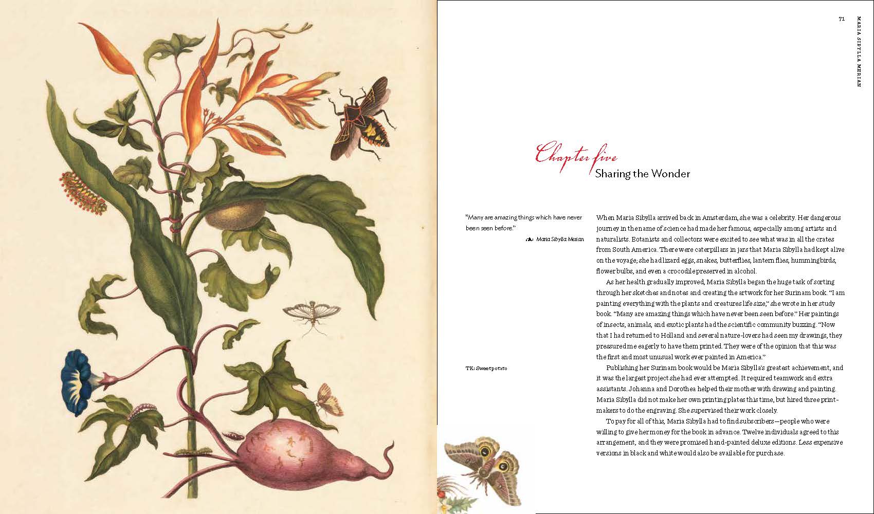 Maria Sibylla Merian: Artist, Scientist, Adventurer - Image 6