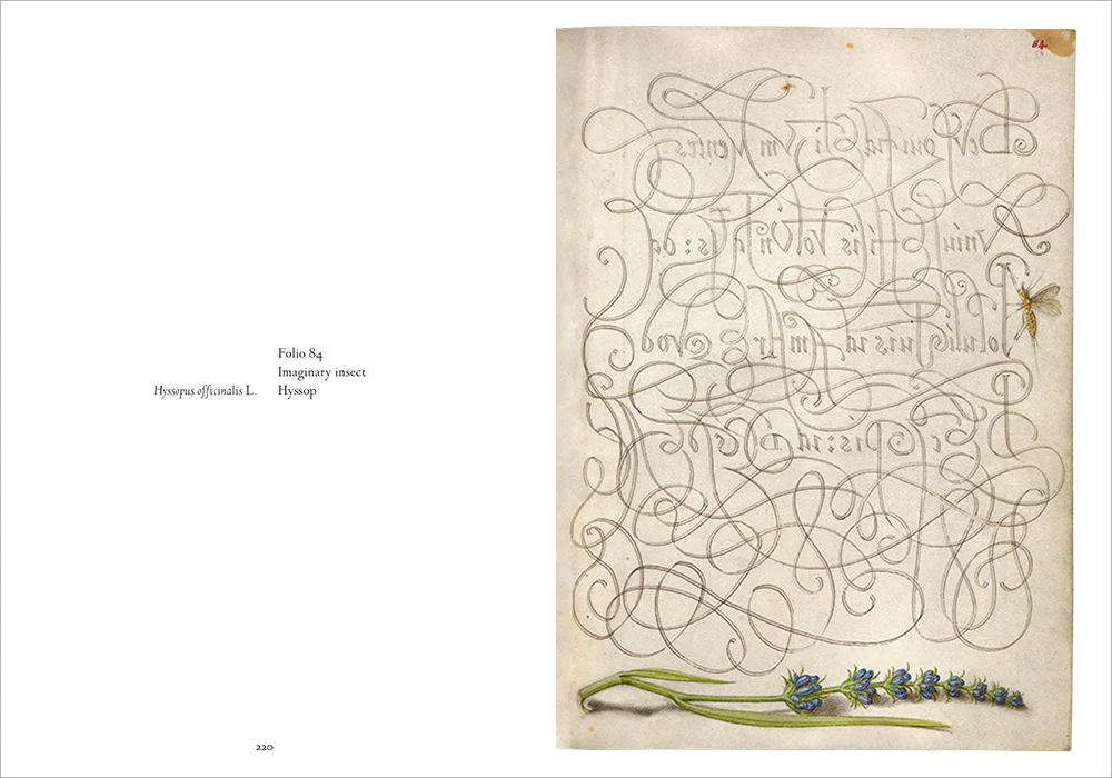 Mira Calligraphiae Monumenta - Image 10