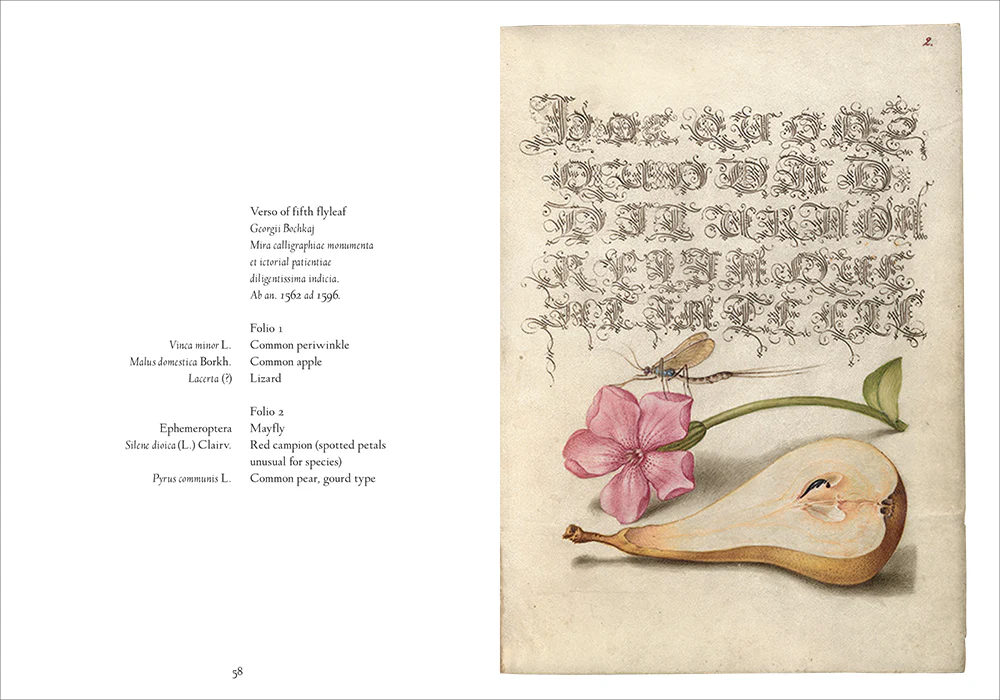 Mira Calligraphiae Monumenta - Image 6