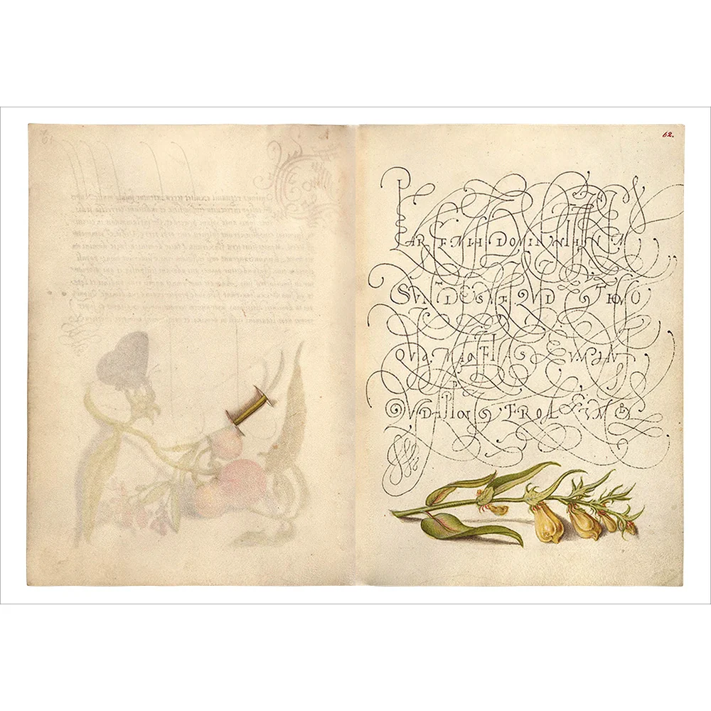 Mira Calligraphiae Monumenta - Image 9