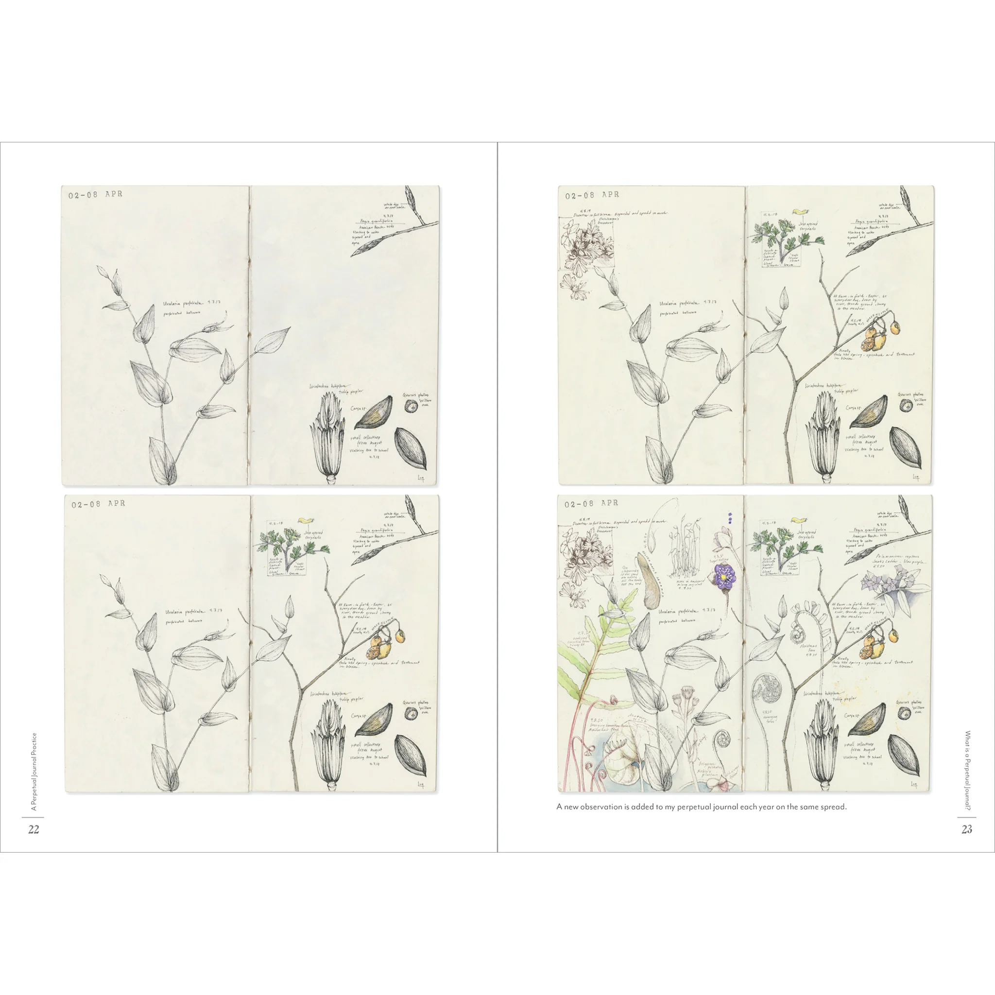 A Perpetual Journal Practice: Building a Connection with Nature through Art - Image 3