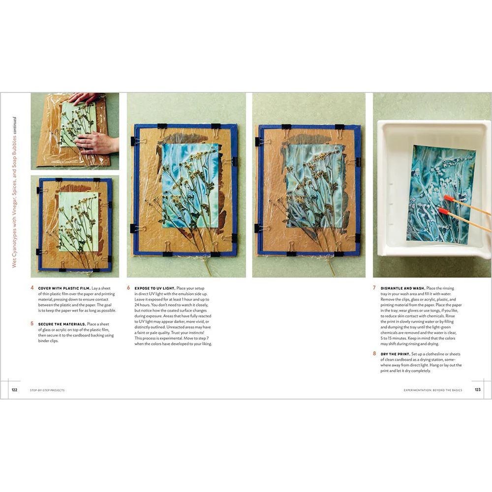 Printing with the Sun: Capturing the Beauty of Nature with Cyanotypes - Image 3