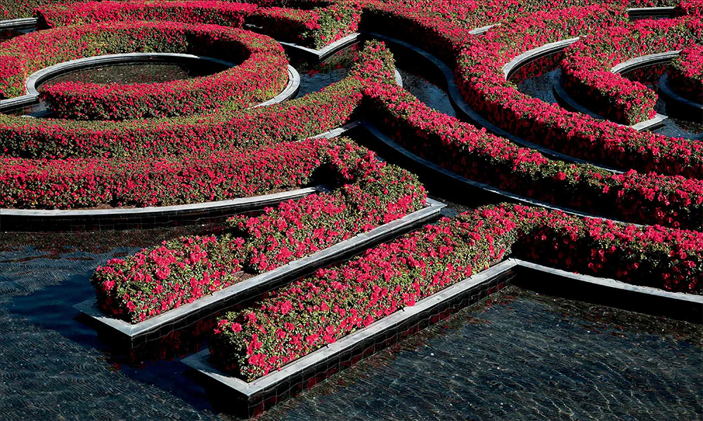 Robert Irwin Getty Garden, Revised Edition - Image 6