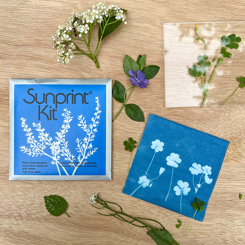 Sunprint Kit - Image 3