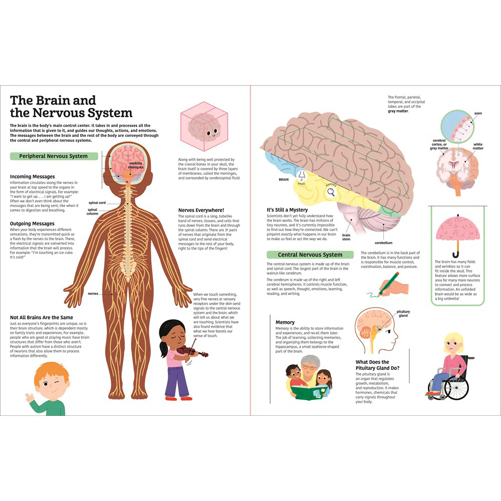 The Ultimate Book of the Human Body - Image 3