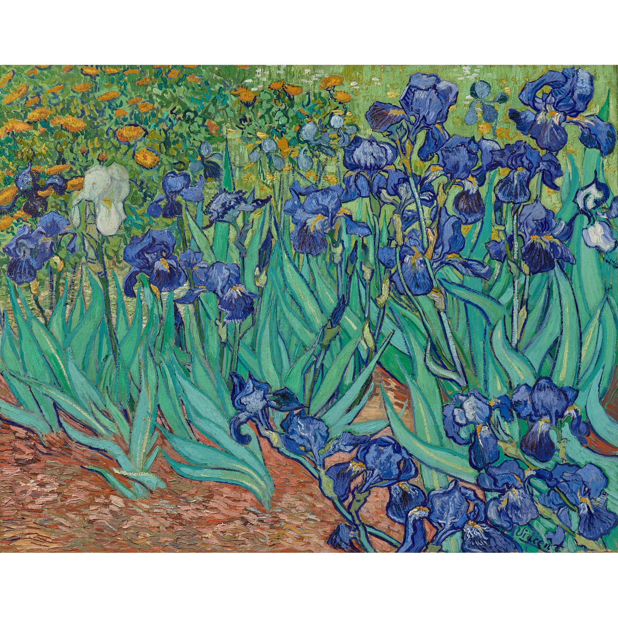Van Gogh Irises Puzzle - Image 5