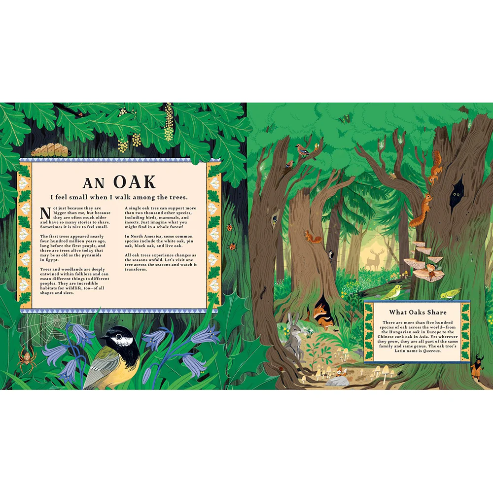 Woodlore: Discover the Seasons and Stories of the Forest - Image 2